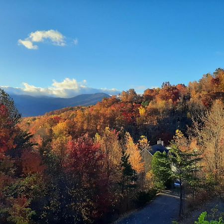3 Decks, Mtn Views! Tree Tops By Honeybearcabins - Luxury Rain Showers, 3 King Suites, Xl Hottub, Fireplace, Bear Sightings Гатлінбург Екстер'єр фото