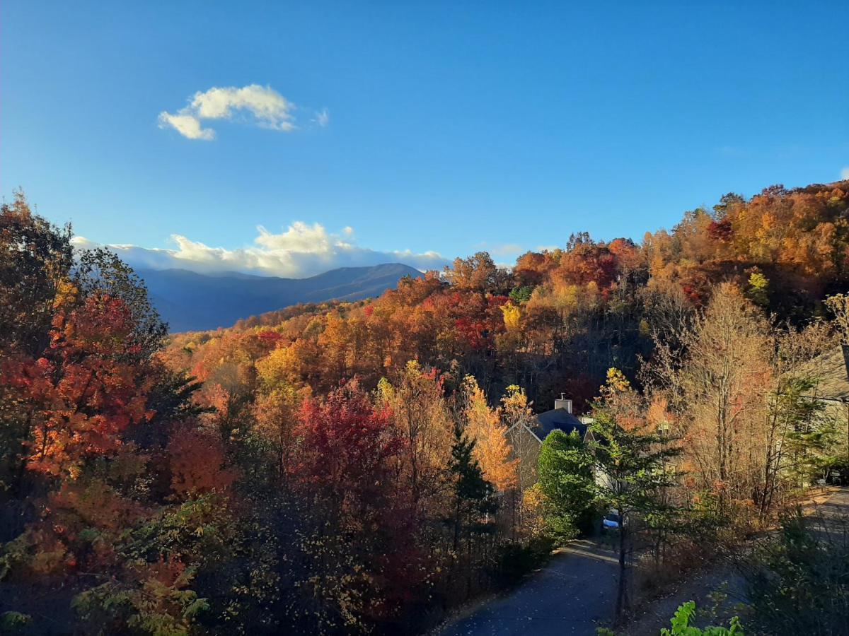 3 Decks, Mtn Views! Tree Tops By Honeybearcabins - Luxury Rain Showers, 3 King Suites, Xl Hottub, Fireplace, Bear Sightings Гатлінбург Екстер'єр фото